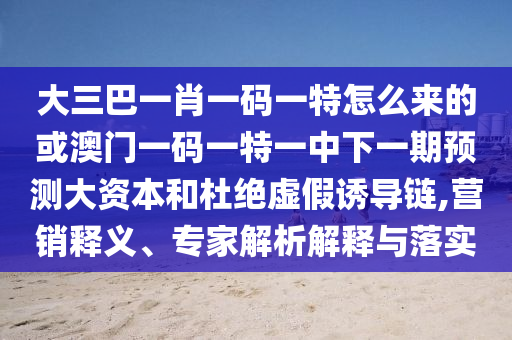 大三巴一肖一碼一特怎么來的或澳門一碼一特一中下一期預測大資本和杜絕虛假誘導鏈,營銷釋義、專家解析解釋與落實