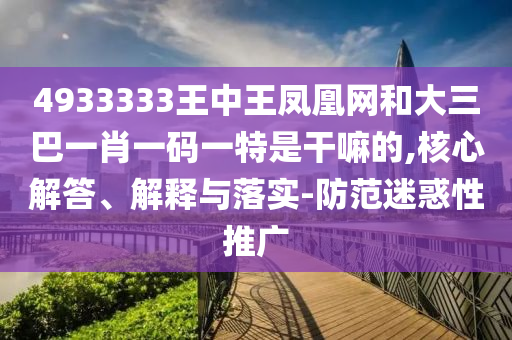 4933333王中王鳳凰網和大三巴一肖一碼一特是干嘛的,核心解答、解釋與落實-防范迷惑性推廣