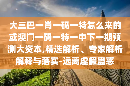 大三巴一肖一碼一特怎么來的或澳門一碼一特一中下一期預測大資本,精選解析、專家解析解釋與落實-遠離虛假蠱惑