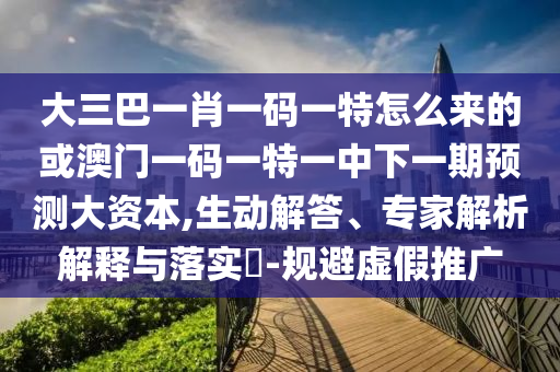 大三巴一肖一碼一特怎么來的或澳門一碼一特一中下一期預測大資本,生動解答、專家解析解釋與落實?-規(guī)避虛假推廣
