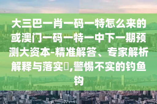 大三巴一肖一碼一特怎么來的或澳門一碼一特一中下一期預(yù)測大資本-精準(zhǔn)解答、專家解析解釋與落實(shí)?,警惕不實(shí)的釣魚鉤