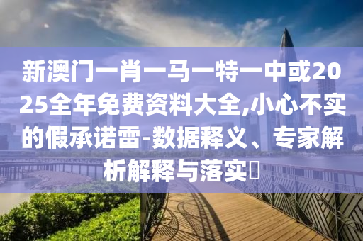 新澳門一肖一馬一特一中或2025全年免費資料大全,小心不實的假承諾雷-數據釋義、專家解析解釋與落實?