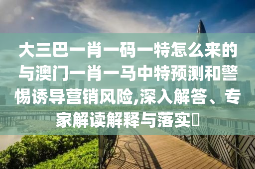 大三巴一肖一碼一特怎么來的與澳門一肖一馬中特預測和警惕誘導營銷風險,深入解答、專家解讀解釋與落實?