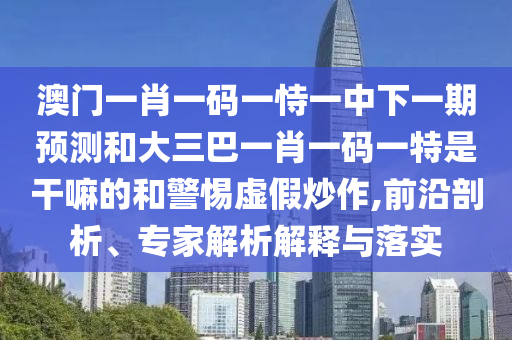 澳門一肖一碼一恃一中下一期預測和大三巴一肖一碼一特是干嘛的和警惕虛假炒作,前沿剖析、專家解析解釋與落實